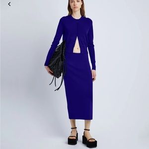 Proenza Schouler Silk Viscose Knit Skirt